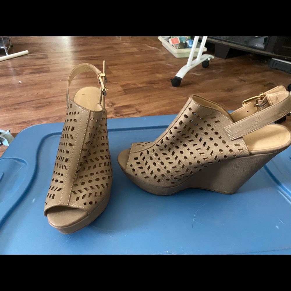 Size 10 wedges